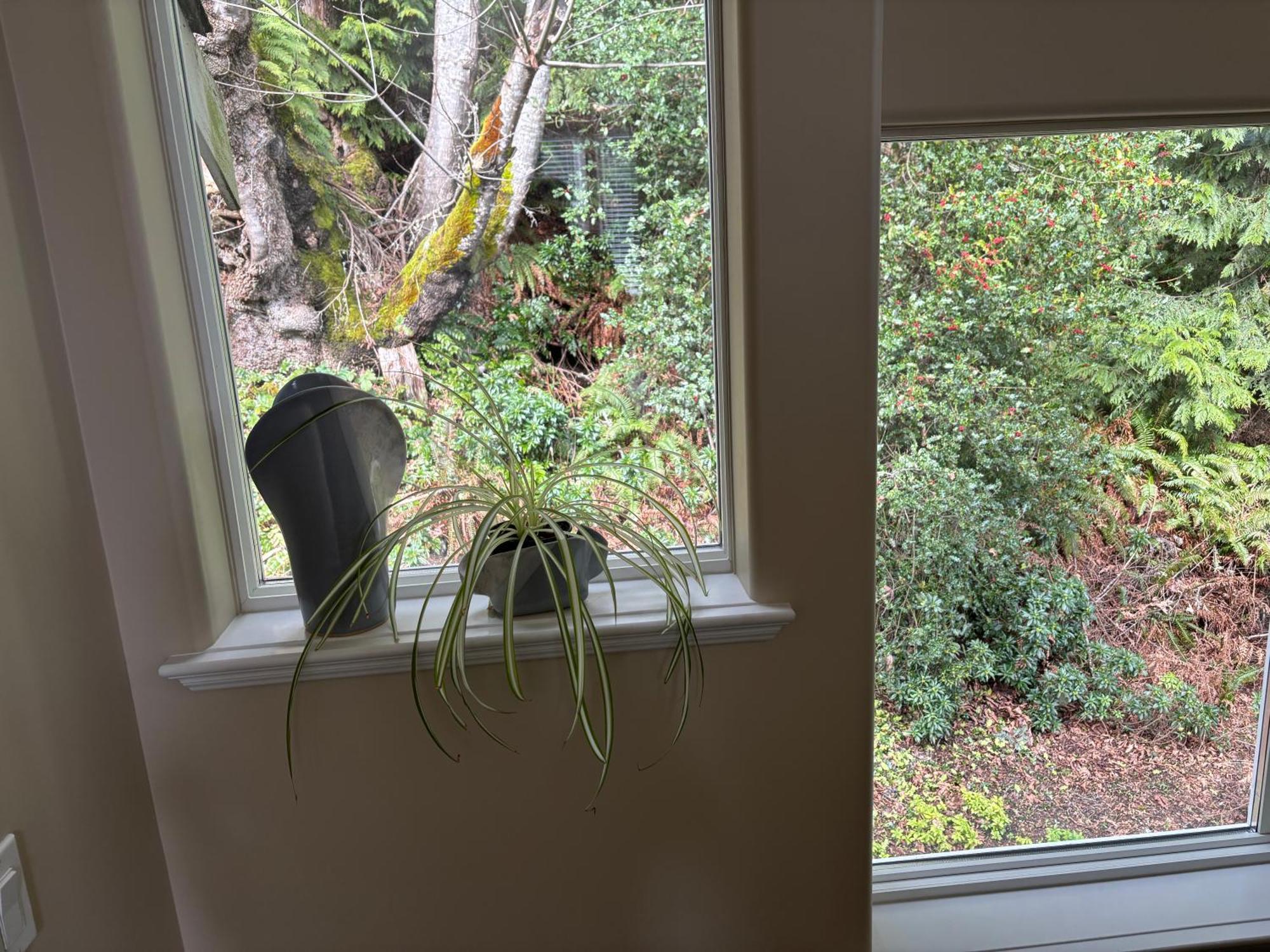 Sea And Cedar Retreat-A Home In A Tranquil Setting Cowichan Bay Extérieur photo